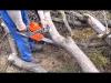 OLEO MAC 937 lncfrsz chainsaw working in hard wood
