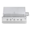 Viking 500 42 Outdoor Gas Grill Ng