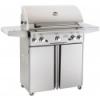 American Outdoor Grill 30 Inch Portable Gas Grill