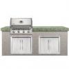Napoleon BIP500NSS Built-In Natural Gas Grill Head