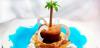 Reif für die Insel: Piña Colada vom Grill