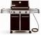 Weber Genesis 6611001 Natural Gas Freestanding Grill