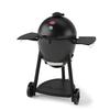 Char-Griller 6719 Series Kamado Charcoal Grill