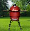 Kamado Joe Ceramic Smoker And Grill