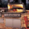 DCS BGB48BQAR -Professional Grill Series 48