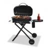 Outdoor LP Gas Tailgate Barbecue Grill
