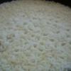 Prolt pergs rizs