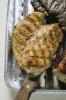 Grillezett h s alum nium grill Tlca overhead view