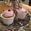 Mini pepparkanscupcakes med lingonfrosting recept p www food4inspiration se
