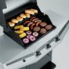 Weber Ducane Affinity 3100 Propane Gas Grill Review