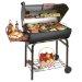 Char Griller 2222 Pro Deluxe Charcoal Grill Smoker