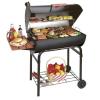 Char Griller Pro Charcoal Smoker Deluxe Grill