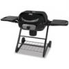 Deluxe Outdoor Charcoal Grill