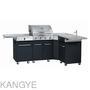 Gas BBQ Grill with Separate Side Burner and Sink