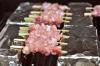 How To Make a Budget Yakitori Grill