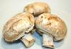 Gefllte Portobello-Pilze fr den Grill