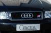 Audi A4 B6 caractere mesh grill