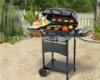 Outdoor gourmet gas grill