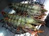 Linguado Grelhado Picture of Don Peixe Grill Restaurant Alcochete